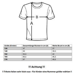 BVB BORUSSIA DORTMUND Trikot Torwart Herren beige 24 / 25 - KOBEL 1 - sportiger.de