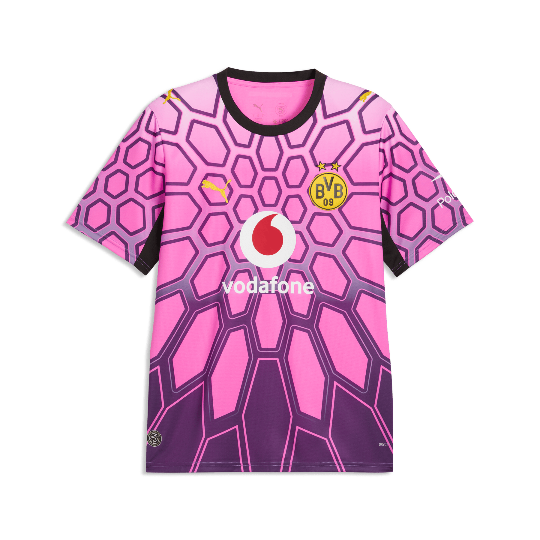 BVB BORUSSIA DORTMUND Trikot Torwart Herren lila 26 / 27 - sportiger.de