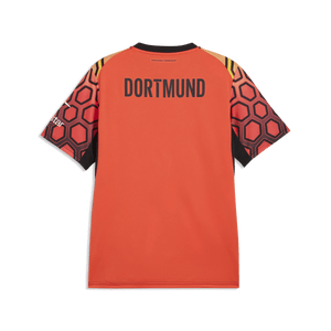 BVB BORUSSIA DORTMUND Trikot Torwart Herren orange 26 / 27 - sportiger.de
