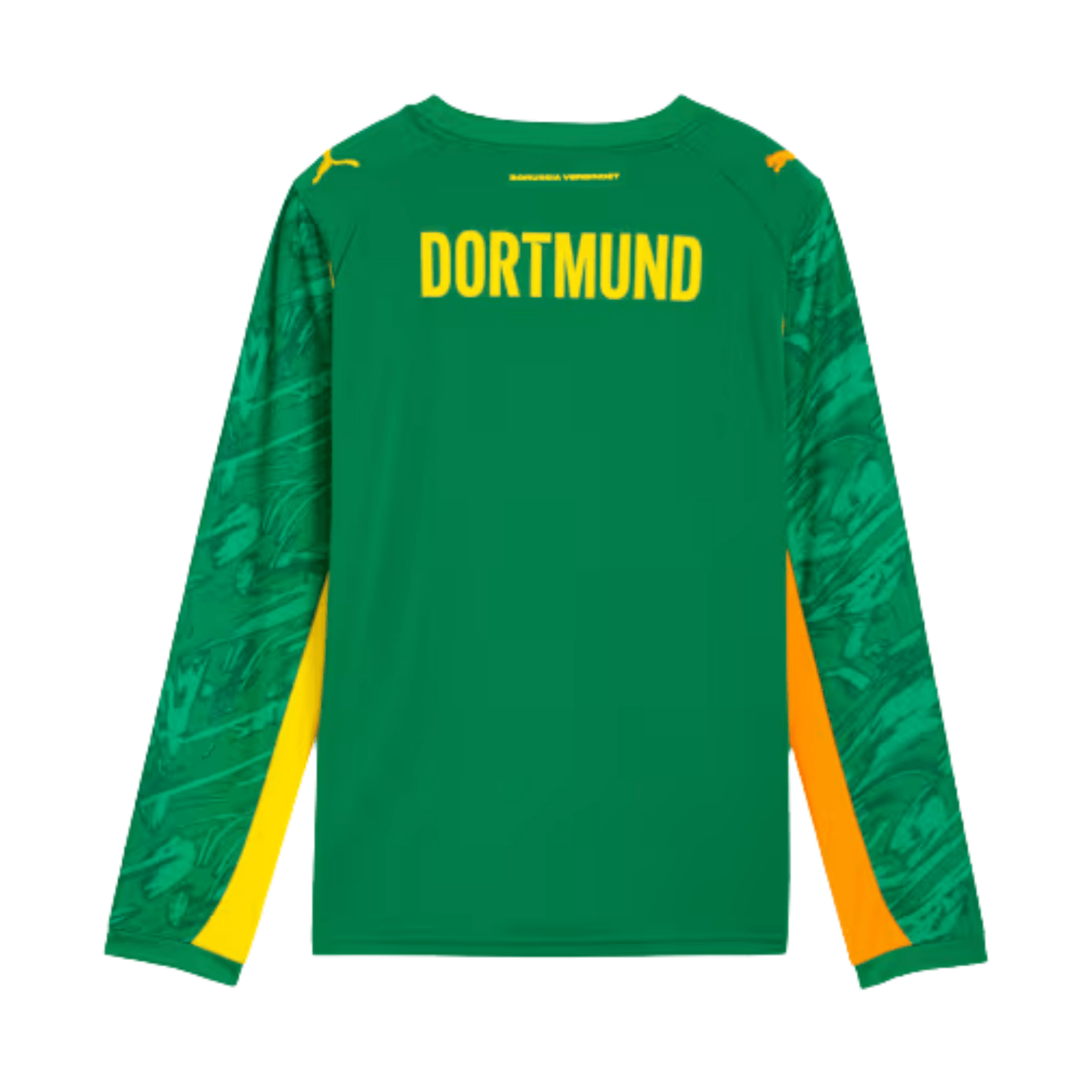 BVB BORUSSIA DORTMUND Trikot Torwart Kinder grün 25 / 26 - sportiger.de