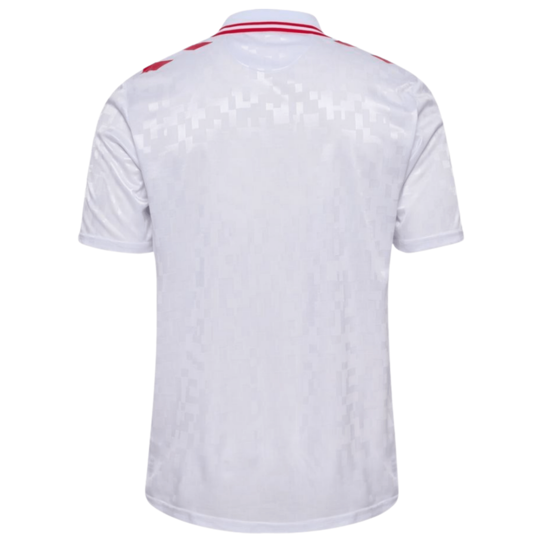 DBU DÄNEMARK Trikot Away Herren EURO 2024 - sportiger.de