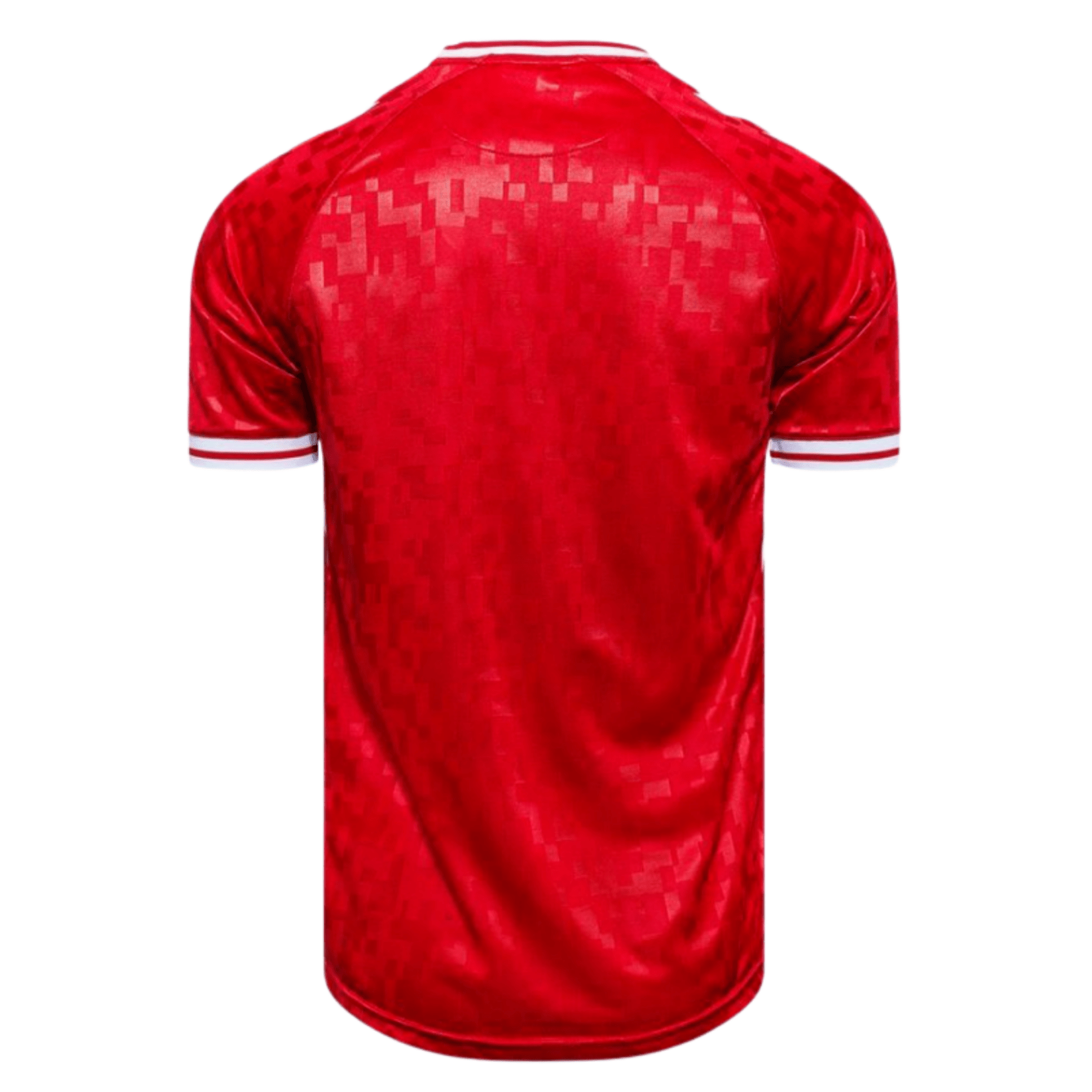 DBU DÄNEMARK Trikot Home Herren EURO 2024 - sportiger.de