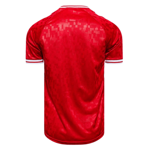 DBU DÄNEMARK Trikot Home Herren EURO 2024 - sportiger.de