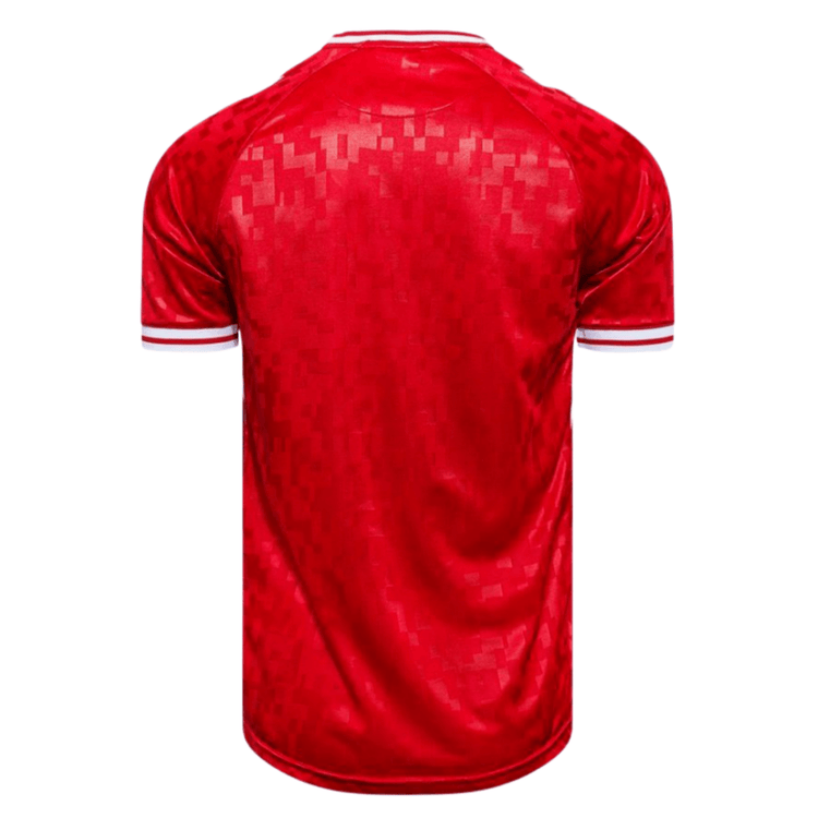 DBU DÄNEMARK Trikot Home Herren EURO 2024 - sportiger.de