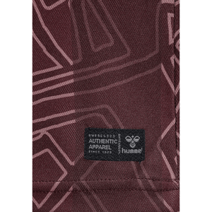 DBU DÄNEMARK X HALO Trikot Special Herren 2024 - sportiger.de