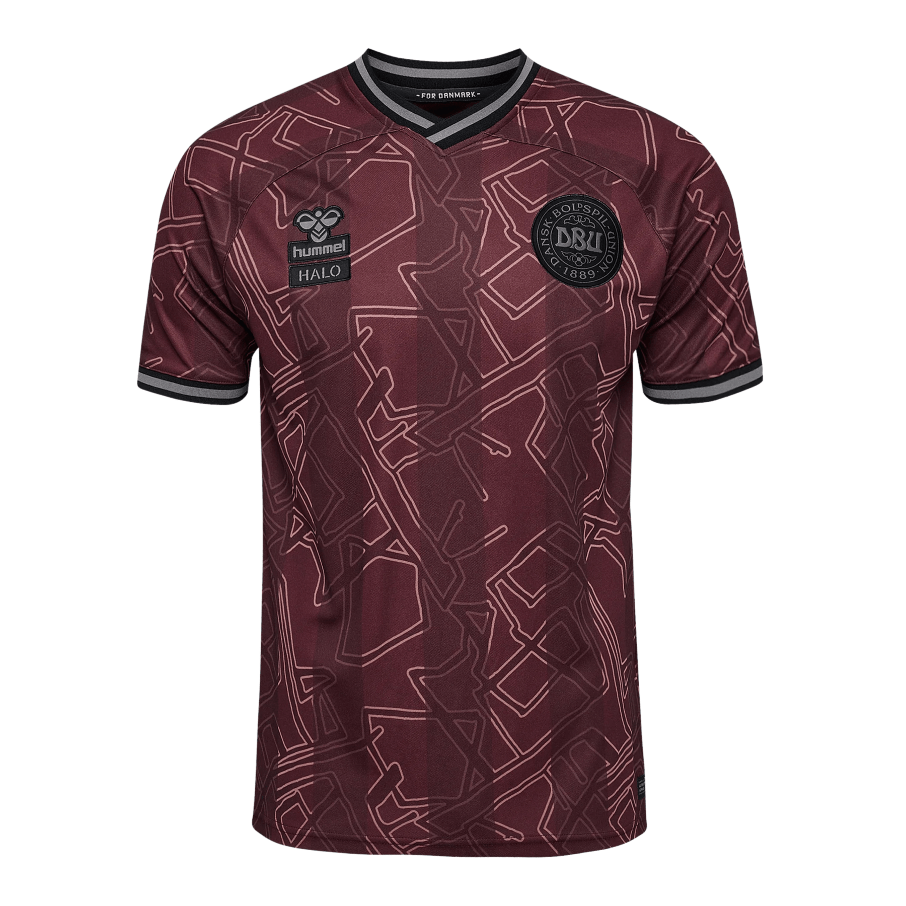 DBU DÄNEMARK X HALO Trikot Special Herren 2024 - sportiger.de