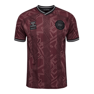 DBU DÄNEMARK X HALO Trikot Special Herren 2024 - sportiger.de