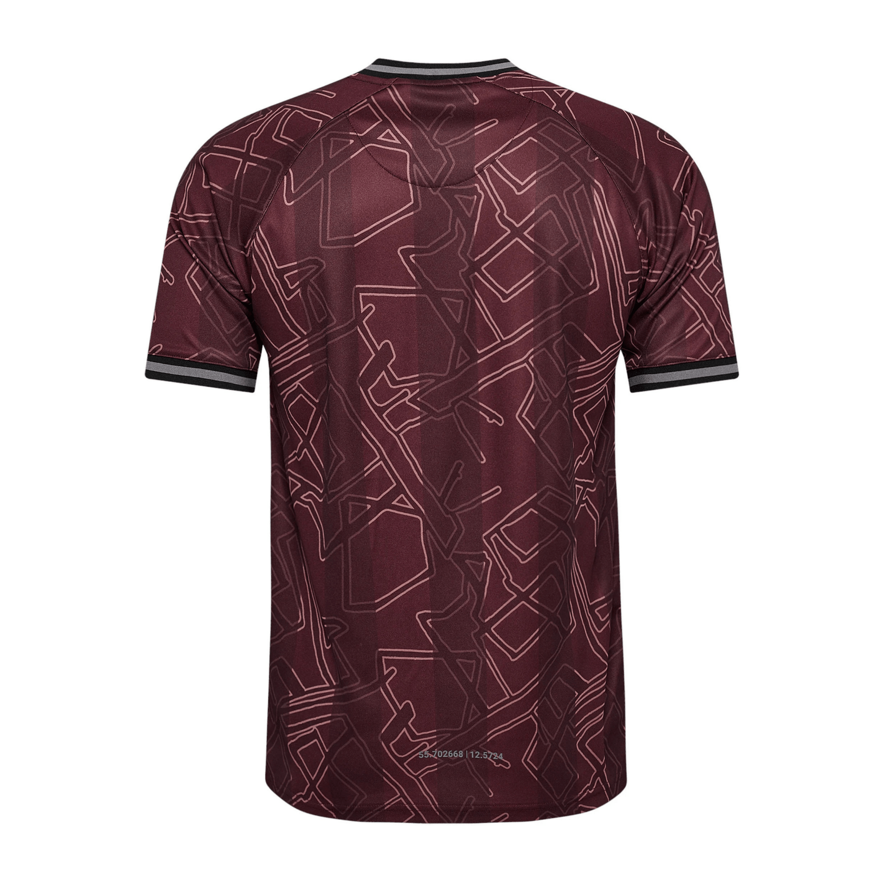 DBU DÄNEMARK X HALO Trikot Special Herren 2024 - sportiger.de