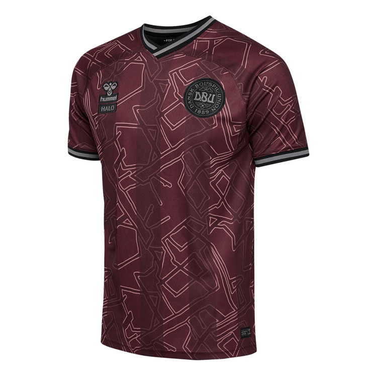 DBU DÄNEMARK X HALO Trikot Special Herren 2024 - sportiger.de