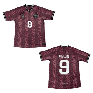 DBU DÄNEMARK X HALO Trikot Special Herren 2024 - HÖJLUND 9 - sportiger.de