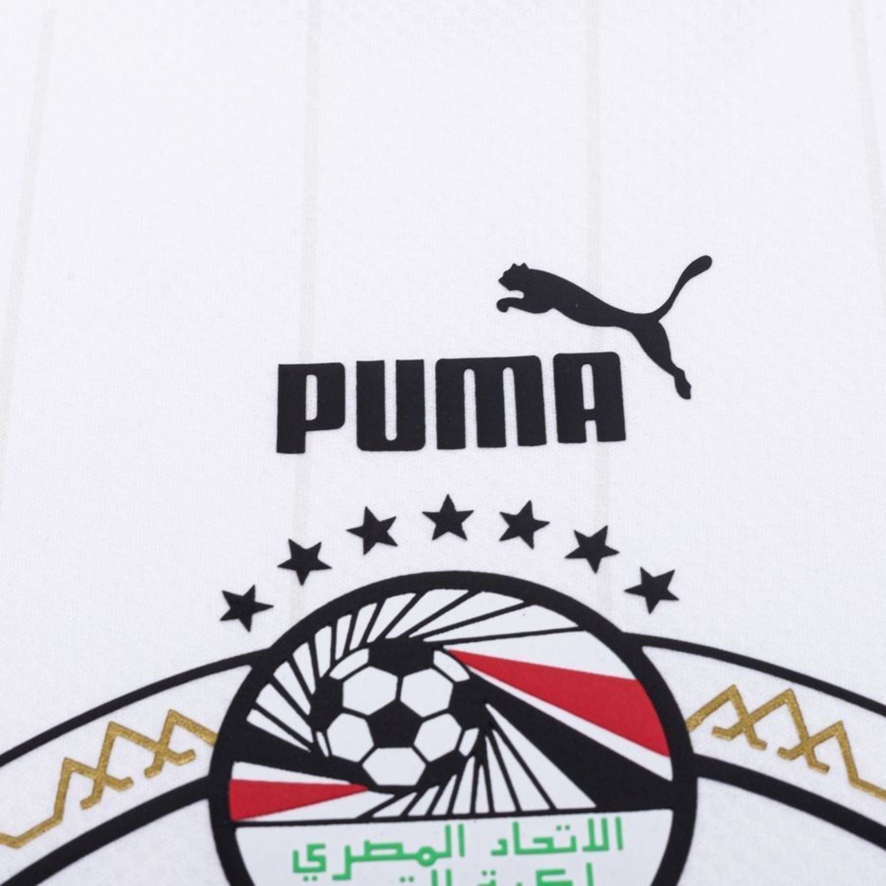 EFA ÄGYPTEN Trikot Away Herren 22 / 23 - sportiger.de