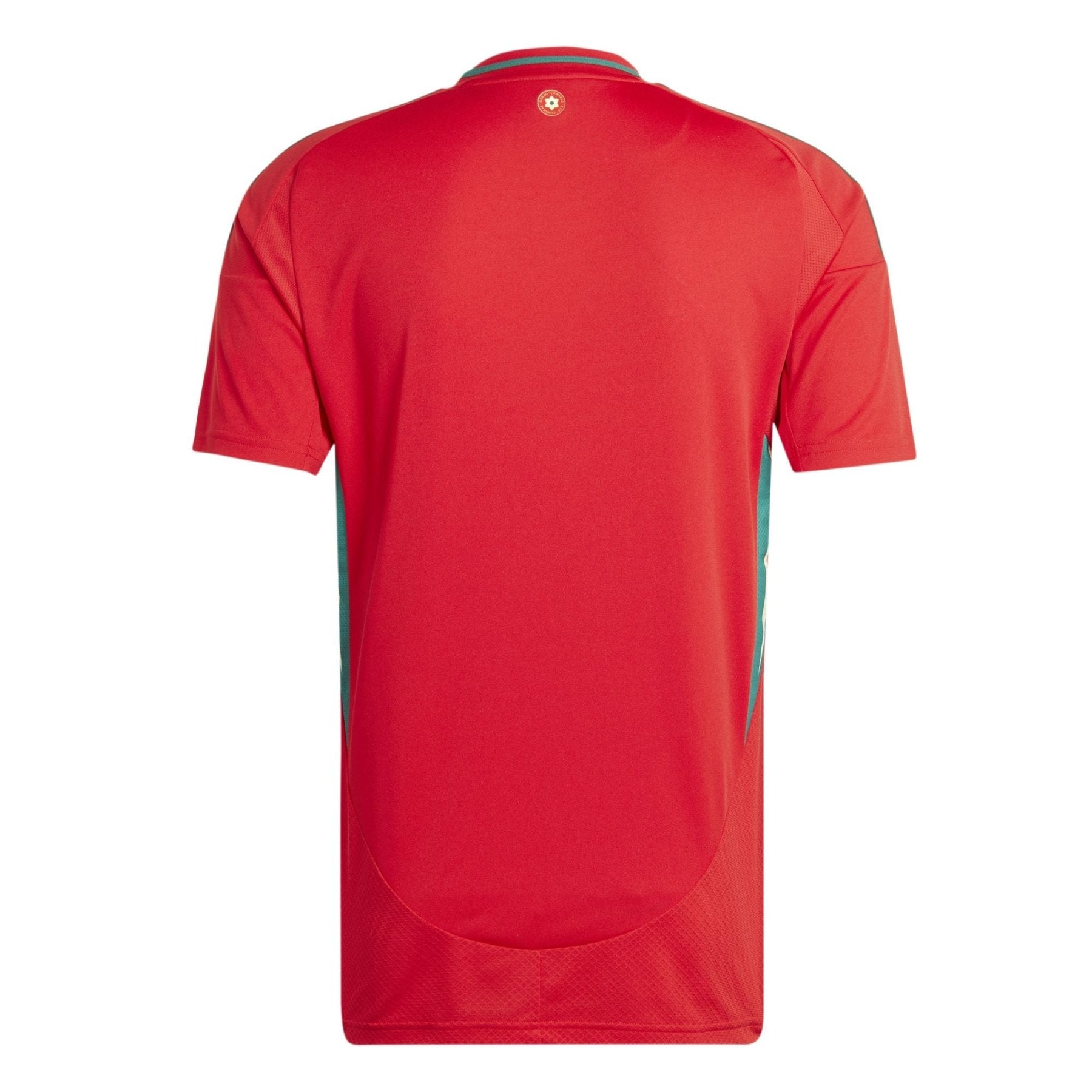 FAW WALES Trikot Home Kinder 24 / 25 - sportiger.de