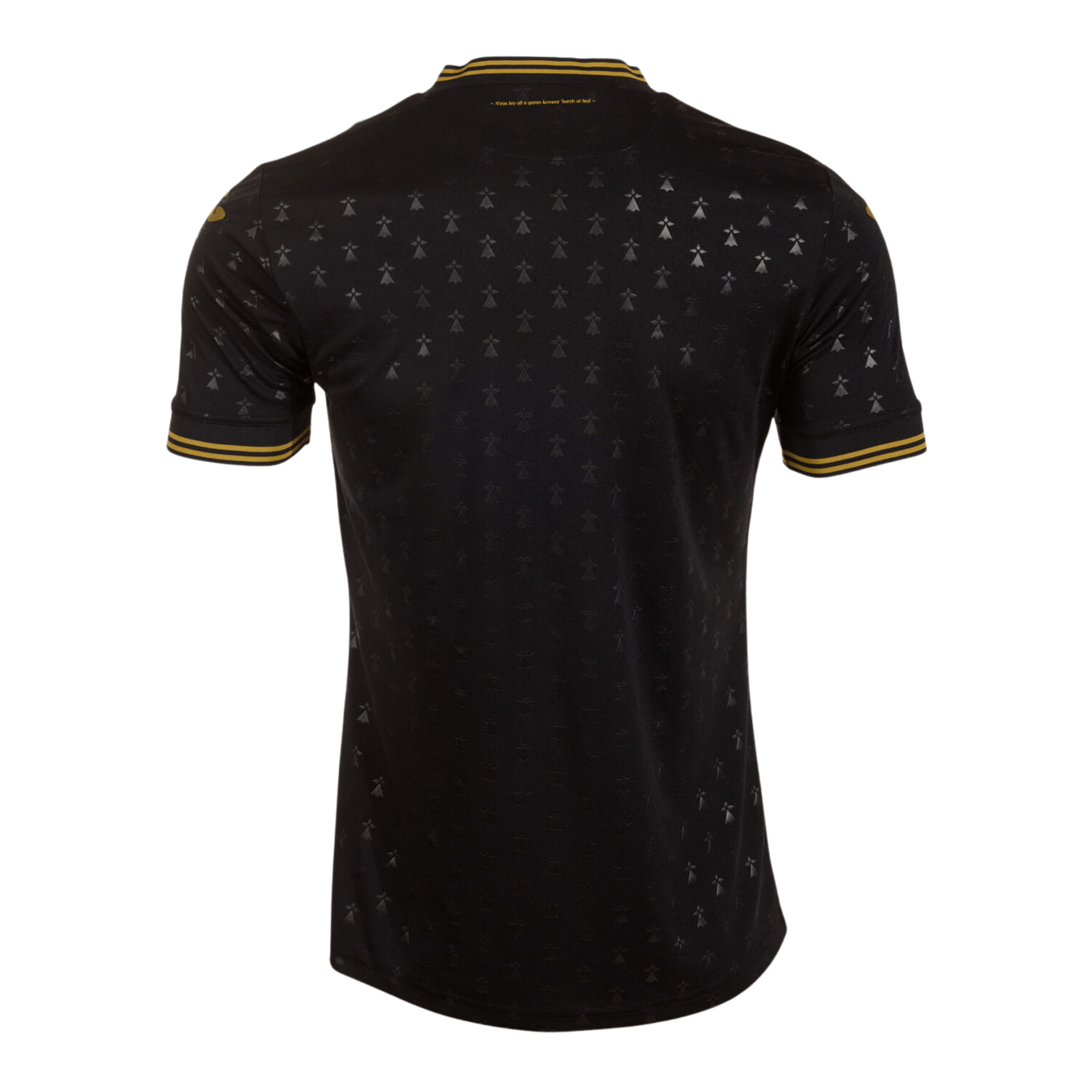 FC LORIENT Trikot 3rd Herren 25 / 26 - sportiger.de