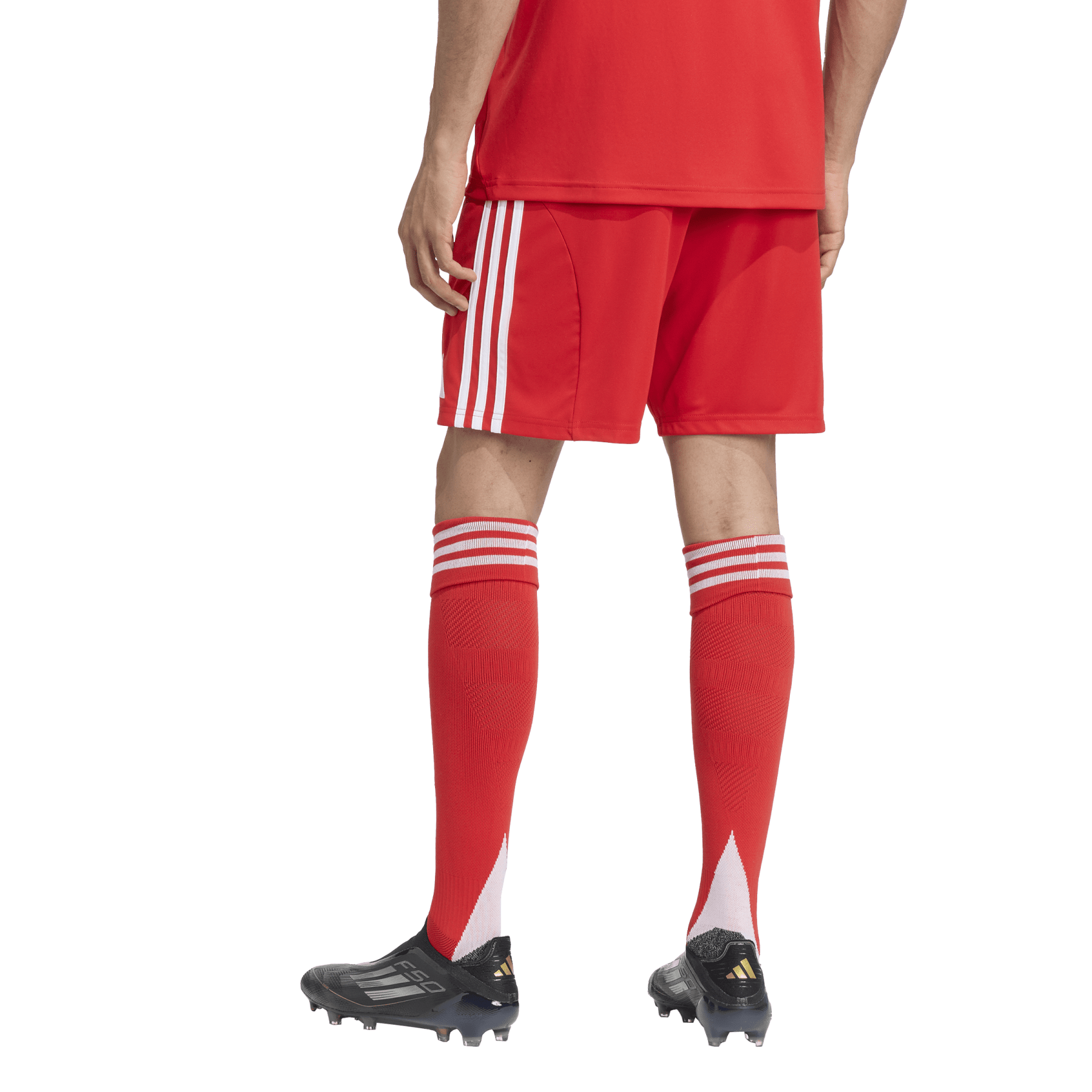 FCB FC BAYERN MÜNCHEN Hose Home Herren 25 / 26 - sportiger.de