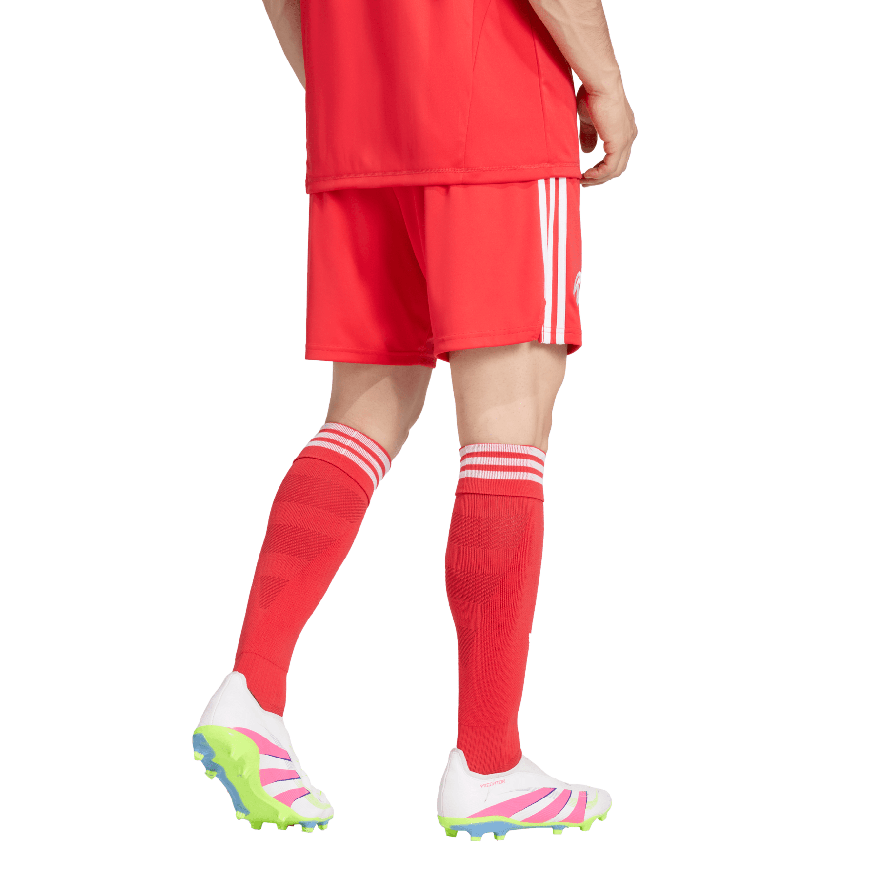 FCB FC BAYERN MÜNCHEN Hose Torwart 3rd Herren 25 / 26 - sportiger.de