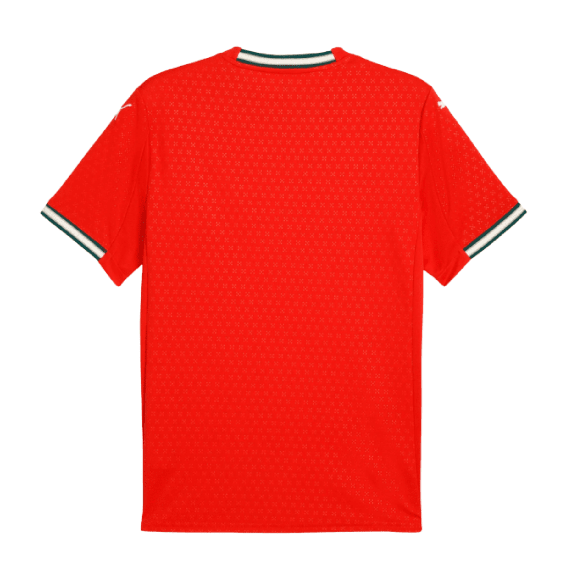 FPF PORTUGAL Trikot Home Kinder 2025 - sportiger.de