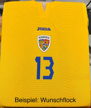 FRF RUMÄNIEN Trikot Home Herren 25 / 26 - sportiger.de