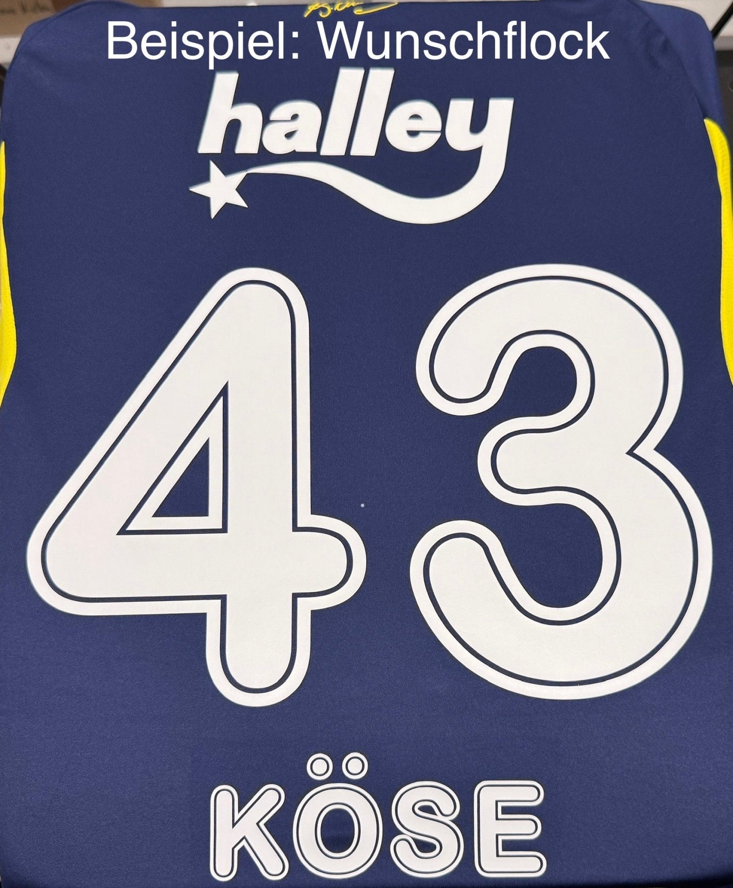 FSK FENERBAHCE ISTANBUL Trikot Home Herren 25 / 26 - sportiger.de