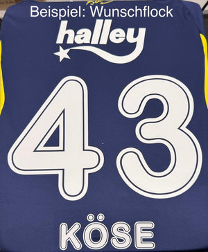 FSK FENERBAHCE ISTANBUL Trikot Home Herren 25 / 26 - sportiger.de