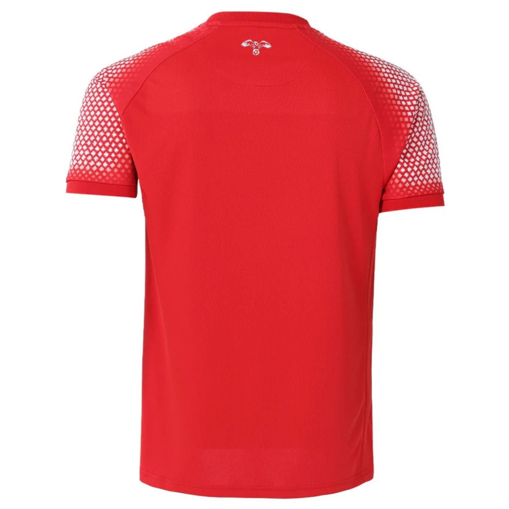 JFA JORDANIEN Trikot Away Herren WM 2026 - sportiger.de
