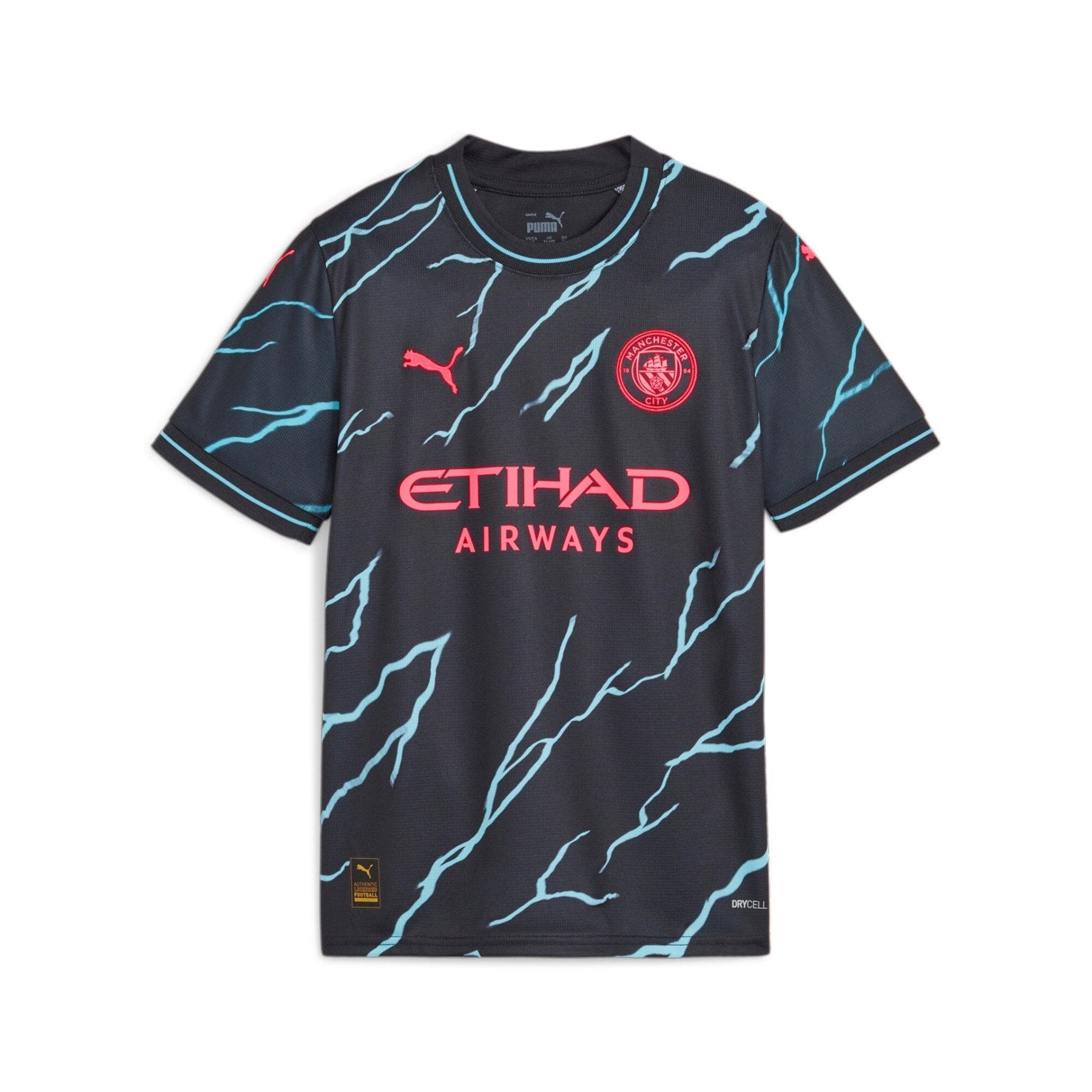 MANCHESTER CITY Trikot 3rd Herren 23 / 24 - sportiger.de