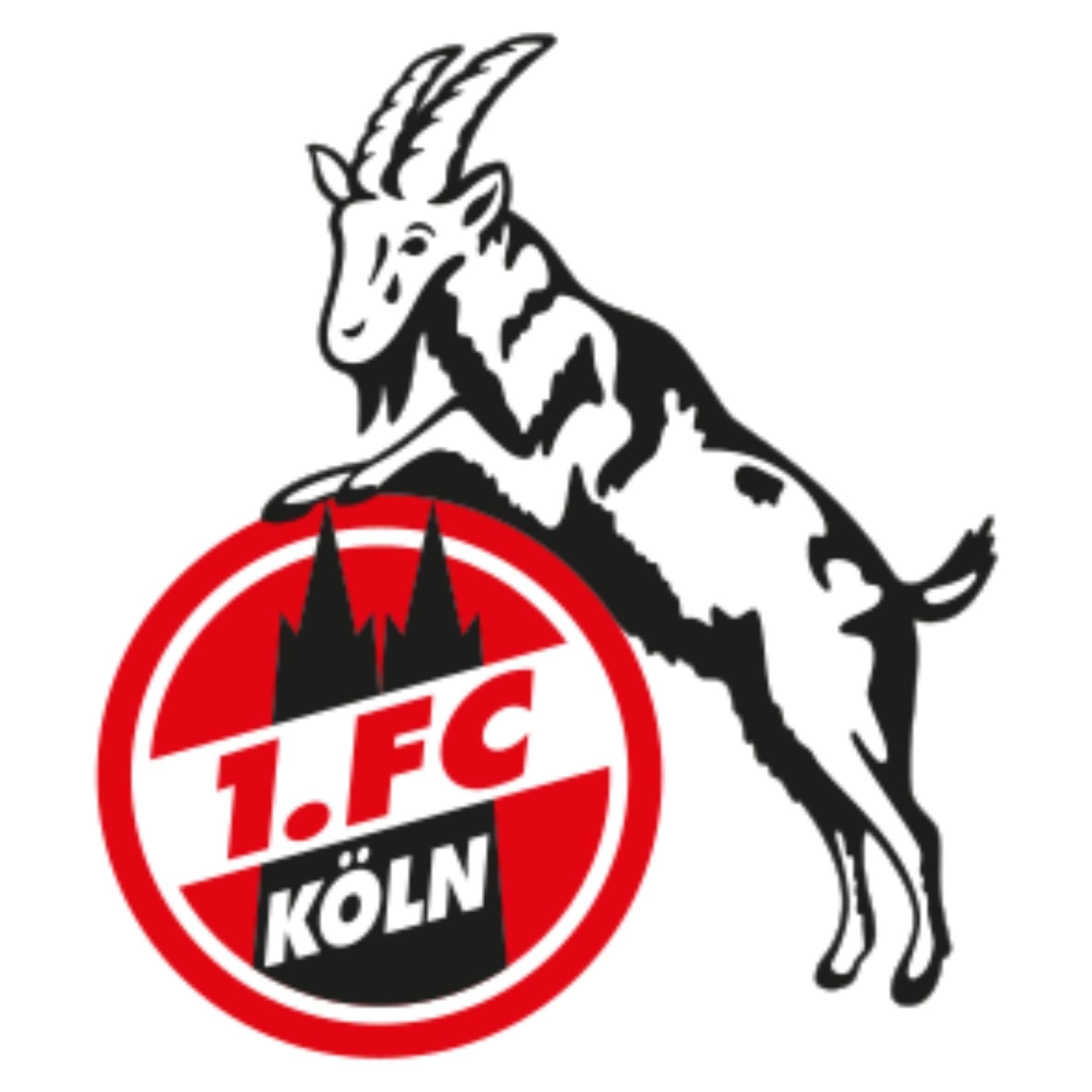 MYSTERY PACK 1. FC Köln - sportiger.de