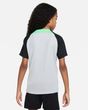 nike LFC FC LIVERPOOL STRIKE Shirt Kinder grau - schwarz - sportiger.de