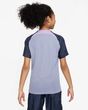 nike THFC TOTTENHAM HOTSPUR STRIKE Shirt Kinder grau - dunkelblau - sportiger.de
