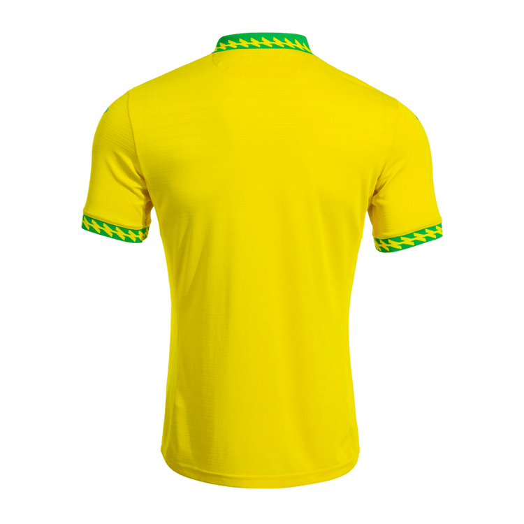 NORWICH CITY Trikot Home Herren 25 / 26 - sportiger.de