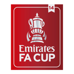 Original 23 / 25 Emirates FA CUP Patch 14 Titel FC Arsenal London - sportiger.de