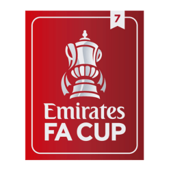 Original 23 / 25 Emirates FA CUP Patch 7 Titel Manchester City / Aston Villa - sportiger.de
