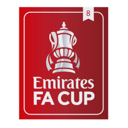 Original 23 / 25 Emirates FA CUP Patch 8 Titel LFC / CFC / THFC - sportiger.de