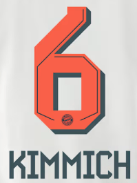 Original 25 / 26 FC BAYERN MÜNCHEN Away Trikot - Flock - KIMMICH 6 - sportiger.de