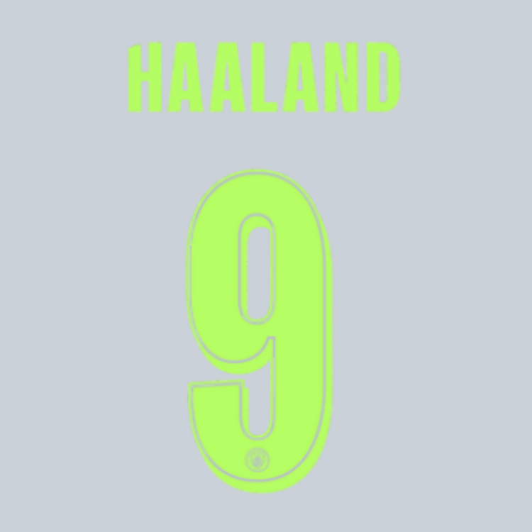 Original 25 / 26 MCFC MANCHESTER CITY 3rd Trikot - Flock 26cm - HAALAND 9 (Champions League Style) - sportiger.de