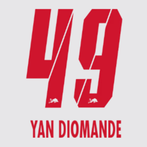 Original 25 / 26 RB Leipzig Home Trikot - Flock - YAN DIOMANDE 49 - sportiger.de