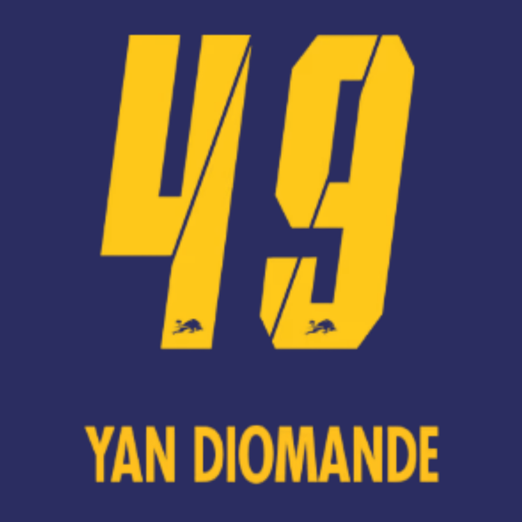 Original 25 / 26 RBL RB LEIPZIG Away Trikot - Flock - YAN DIOMANDE 49 - sportiger.de