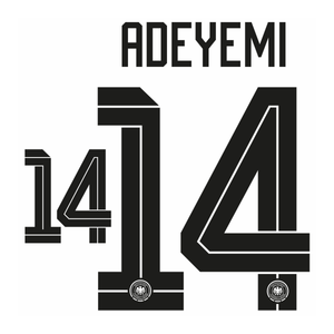 Original WM 2026 DFB DEUTSCHLAND Home Trikot - Flock - ADEYEMI 14 - sportiger.de