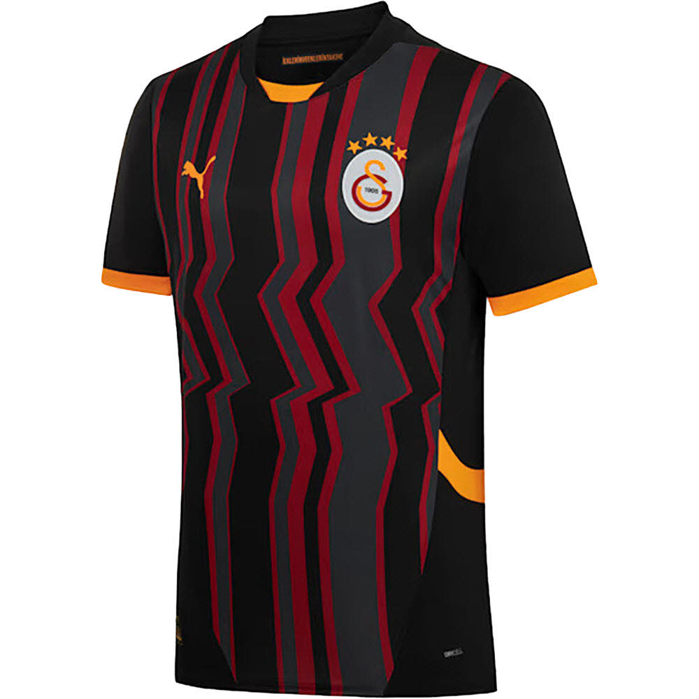 GSK GALATASARAY ISTANBUL Trikot 3rd Herren 24 / 25