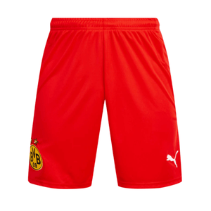 puma BVB BORUSSIA DORTMUND Hose Kinder rot 22 / 23 - sportiger.de