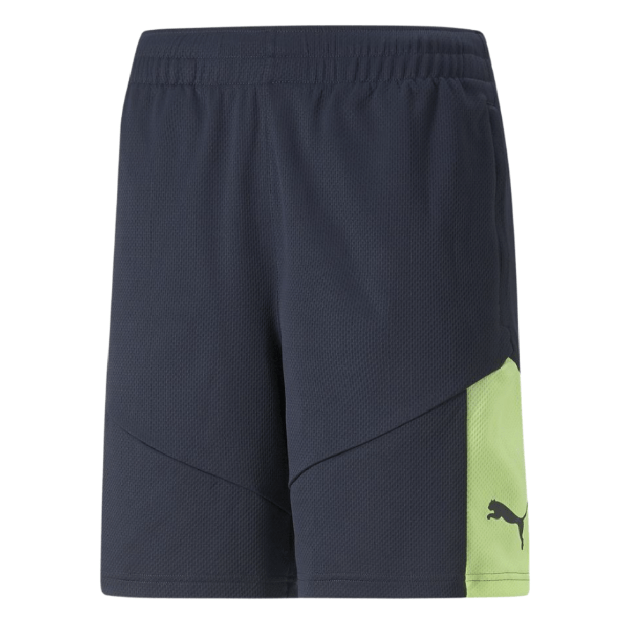 puma IndividualFINAL Trainings Short Herren lila - grün - sportiger.de