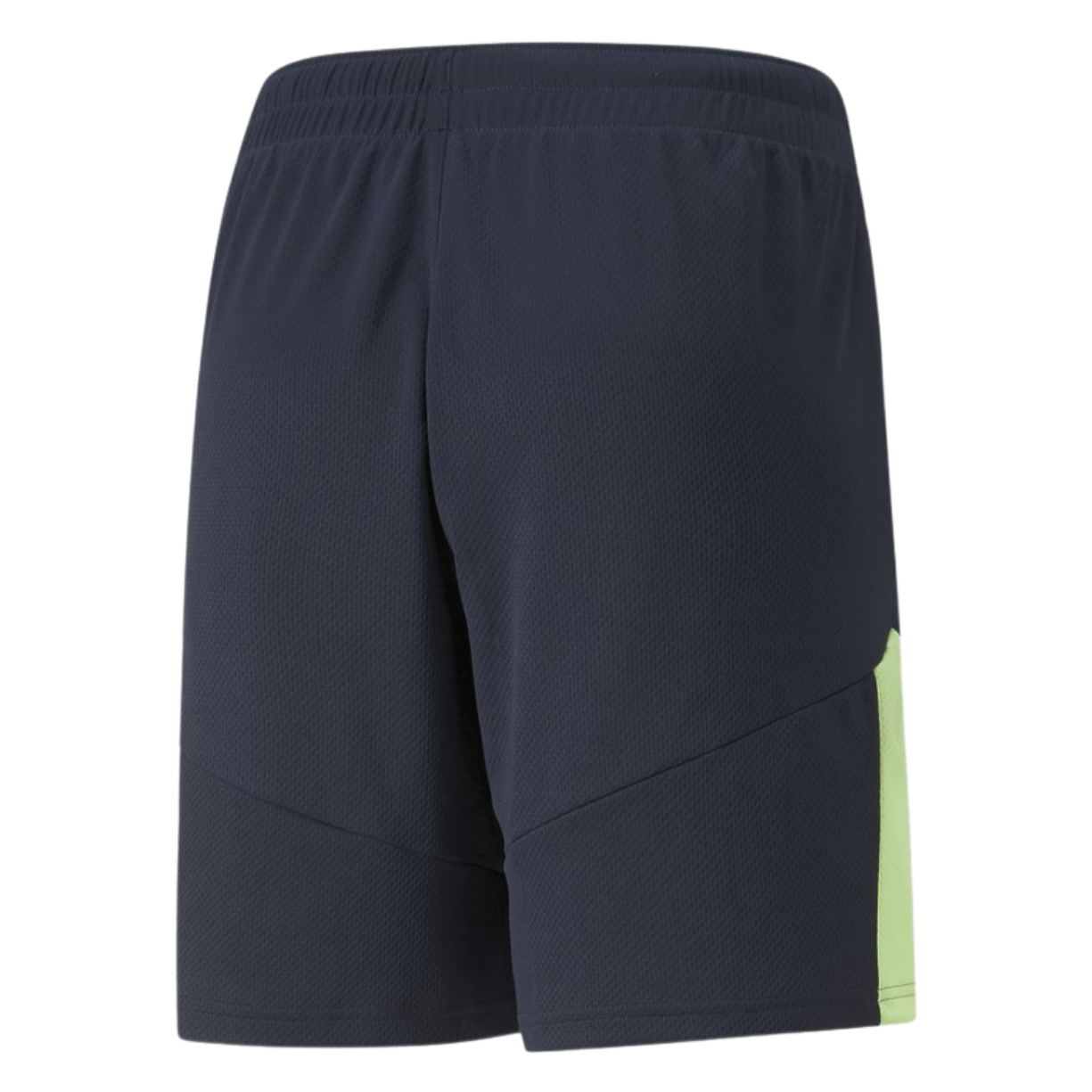 puma IndividualFINAL Trainings Short Herren lila - grün - sportiger.de