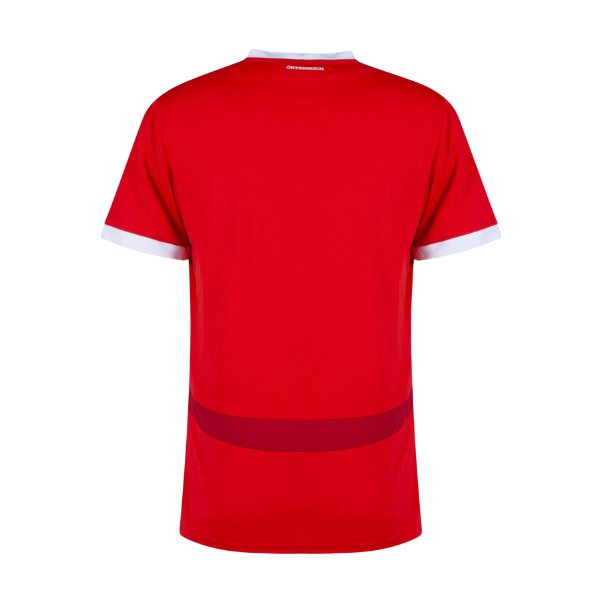 puma ÖFB ÖSTERREICH Trikot Home Herren EURO 2024 - sportiger.de