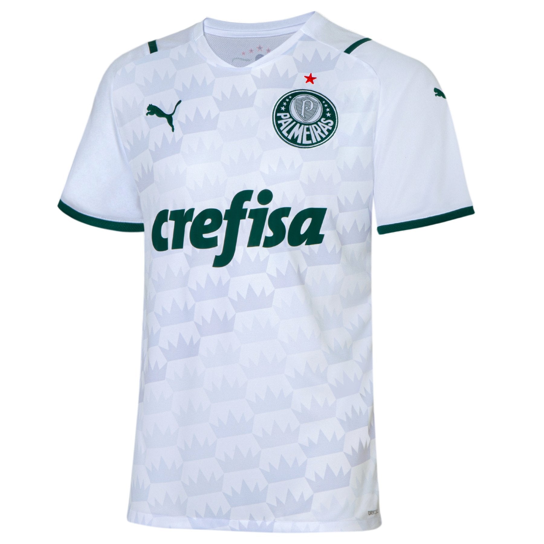 puma PALMEIRAS SAO PAULO Trikot Away Herren 20 / 21 - sportiger.de