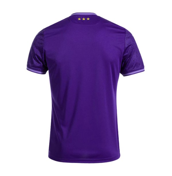 RSC ANDERLECHT Trikot Home Herren 24 / 25 - sportiger.de