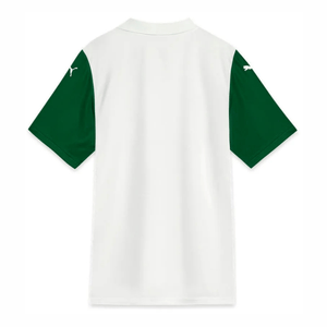 SE PALMEIRAS SÃO PAULO Trikot Away Herren 25 / 26 - sportiger.de