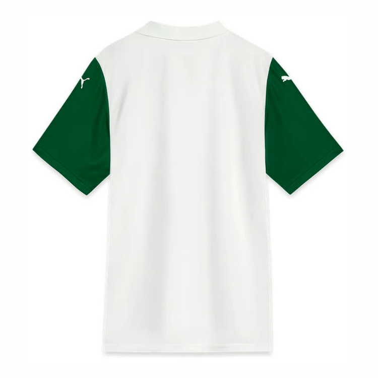 SE PALMEIRAS SÃO PAULO Trikot Away Herren 25 / 26 - sportiger.de