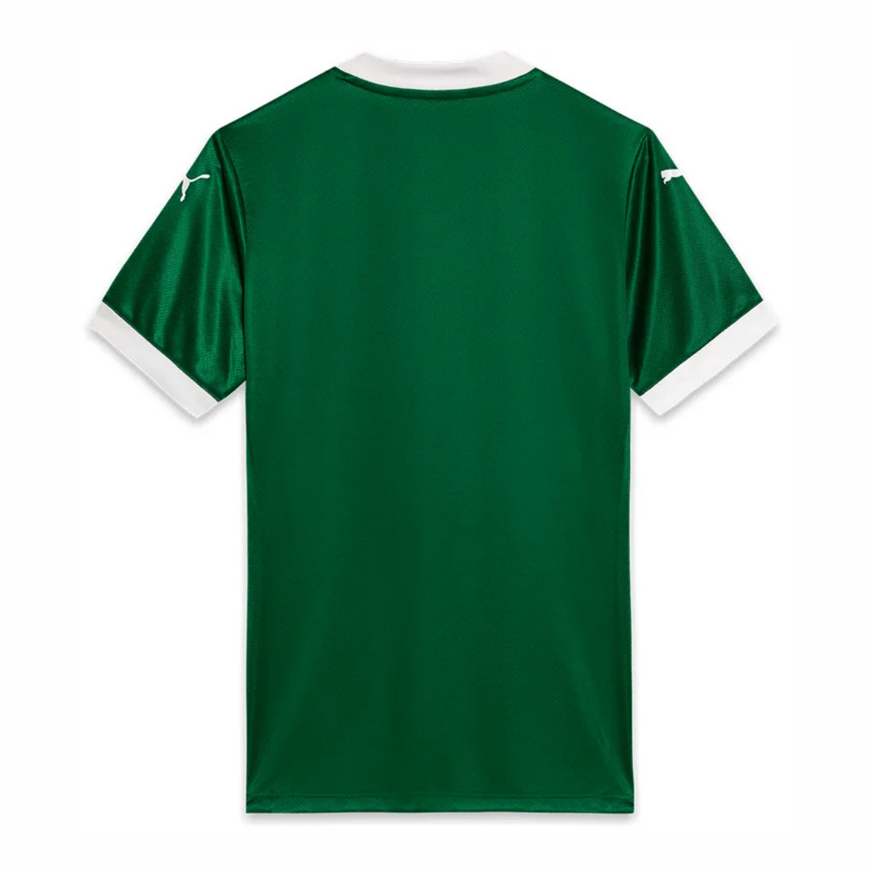 SE PALMEIRAS SÃO PAULO Trikot Home Herren 25 / 26 - sportiger.de