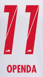 Original RB Leipzig Home Trikot-Flock - OPENDA 11